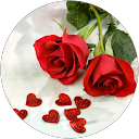 Nasrin Mirja profile picture